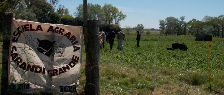 Acuerdo UDELAR-UTU: Proyecto para la conservación del cerdo Pampa Rocha